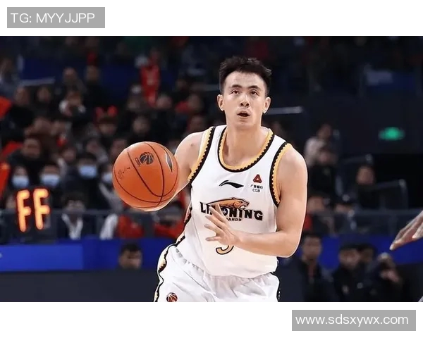 辽宁热身赛精彩表现鄢手骐斩获18分赵继伟付豪各添12分助力胜北控
